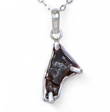 SIKHOTE-ALIN Meteorite Pendant - Meteorite Jewelry - Sterling Silver