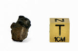 1.16g Carbonaceous Chondrite C3-ung I NWA 12416