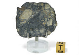 12.20g Eucrite Slice Monomict Basaltic Breccia