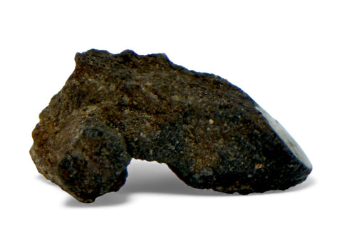 1.16g Carbonaceous Chondrite C3-ung I NWA 12416