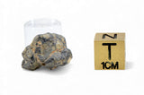 1.31g TOUAT 005 Lunar Breccia Meteorite