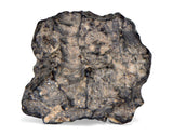 8.01g Lunar Meteorite I Lunar Breccia I NWA 11788