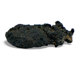 1.44g Carbonaceous Chondrite C3-ung I NWA 12416