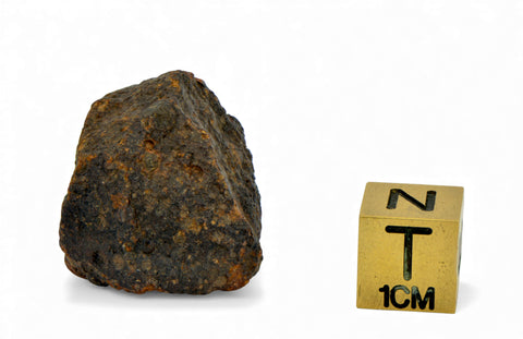 ✨レア隕石！EL3タイプ NWA 2828 隕石　標本 NWA 1941 石質隕石(L6/博物館級) 84 2298g - 鉱物標本・隕石標本販売の