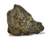 0.92g AMGALA 001 Martian Shergottite Olivine Phyric Meteorite