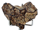 36.52g AGOUDAL Heart shaped Iron Meteorite I IIAB Iron