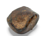 9.29g NWA 859 TAZA meteorite - Ungrouped Iron Meteorite
