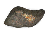 6.29g ORDINARY CHONDRITE Meteorite with FRESH CRUST