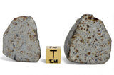 21.24g & 30.31g H5 Chondrite Meteorite half pieces with fusion crust I NWA 18056