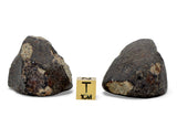 34.06g & 40.92g H5 Chondrite Meteorite half pieces with fusion crust I NWA 18056