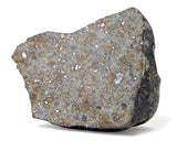 72.73g H5 Chondrite Meteorite half piece with fusion crust I NWA 18056