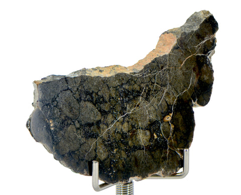 8.83g Eucrite Monomict Slice I HED NWA 8555