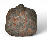 4.27g ORDINARY CHONDRITE Meteorite with FRESH CRUST