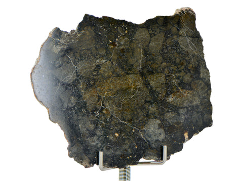 22.46g Eucrite Monomict Slice I HED NWA 8555