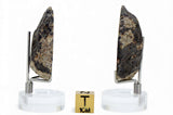21.6g & 28.09g H5 Chondrite Meteorite half pieces with fusion crust I NWA 18056