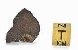 2.79g CR2 Carbonaceous Chondrite Meteorite Slice I NWA 7020