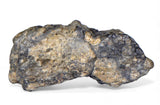 11.07g TOUAT 005 Lunar Breccia Meteorite