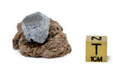 3.34g CARANCAS Meteorite Fragment with Crust and Original Impact Crater I H4-5 Chondrite Rare Crater Maker