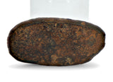 3.94g NWA 859 TAZA meteorite - Ungrouped Iron Meteorite