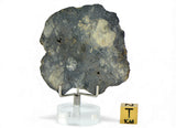 22.70g Eucrite Slice Monomict Basaltic Breccia