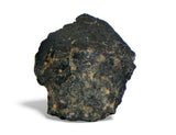 1.66g Carbonaceous Chondrite C3-ung I NWA 12416