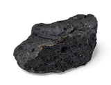 15.5g NWA 12925 I Carbonaceous Chondrite with very Fresh Fusion Crust