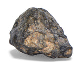 7.74g TOUAT 005 Lunar Breccia Meteorite