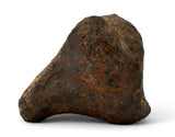 28.8g MUNDRABILLA meteorite - Iron Meteorite