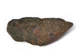 2.70g ORDINARY CHONDRITE Meteorite with FRESH CRUST