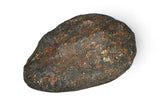 4.54g ORDINARY CHONDRITE Meteorite with FRESH CRUST