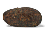 3.94g NWA 859 TAZA meteorite - Ungrouped Iron Meteorite