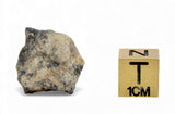 2.83g TOUAT 005 Lunar Breccia Meteorite