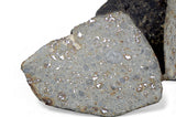 21.24g & 30.31g H5 Chondrite Meteorite half pieces with fusion crust I NWA 18056
