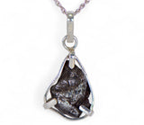 SIKHOTE-ALIN Meteorite Pendant - Meteorite Jewelry - Sterling Silver