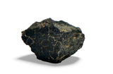 1.66g Carbonaceous Chondrite C3-ung I NWA 12416