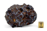 193g Amazing SERICHO Pallasite Meteorite with natural hole