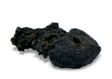 1.44g Carbonaceous Chondrite C3-ung I NWA 12416