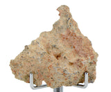 6.30g Tisserlitine 001 Lunar Meteorite end slice