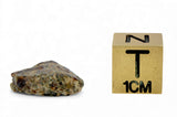 1.49g Erg Chech 002 Ungrouped Achondrite Meteorite end slice