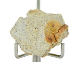 5.60g Diogenite I Beautiful HED Meteorite from Asteroid 4 Vesta