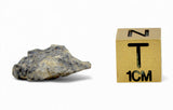 1.39g TOUAT 005 Lunar Breccia Meteorite