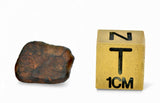 2.94g NWA 859 TAZA meteorite - Ungrouped Iron Meteorite