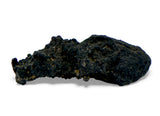 1.44g Carbonaceous Chondrite C3-ung I NWA 12416