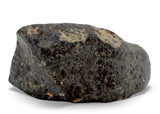 41.65g H5 Chondrite Meteorite with fusion crust I NWA 18056