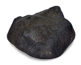 38.84g KSAR El GORAANE - H5  Moroccan Meteorite Fall Oct 2018