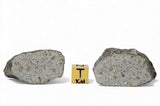 31.19g & 38.29g H5 Chondrite Meteorite half pieces with fusion crust I NWA 18056
