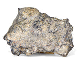 12.96g TOUAT 005 Lunar Breccia Meteorite