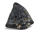 1.31g AGUAS ZARCAS Oriented Meteorite I Carbonaceous Chondrite CM2