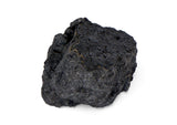 15.5g NWA 12925 I Carbonaceous Chondrite with very Fresh Fusion Crust
