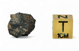1.66g Carbonaceous Chondrite C3-ung I NWA 12416